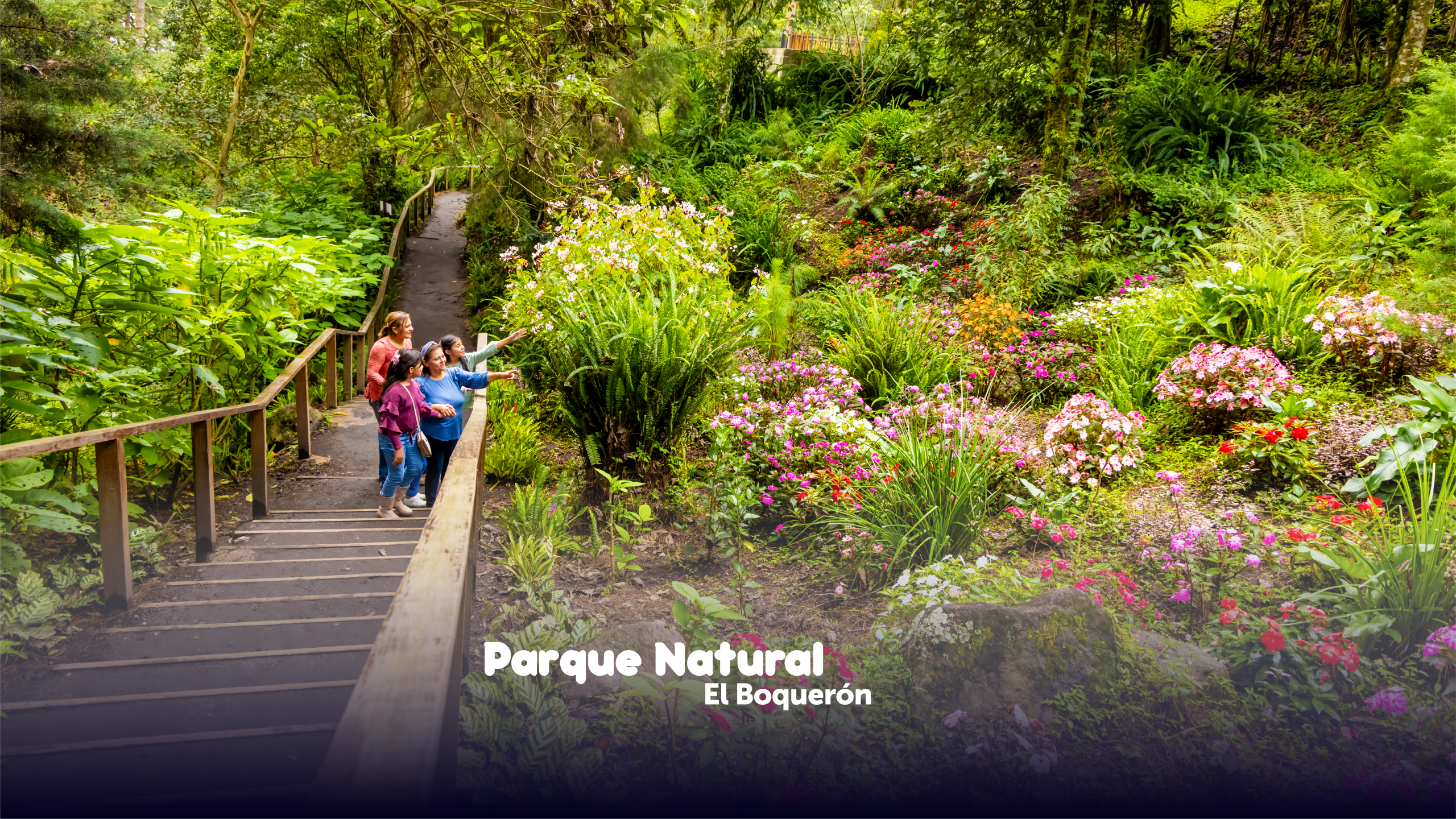 Parque Natural El Boquerón